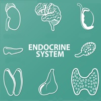 Endocrine System Quizzes pour PC