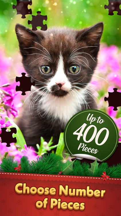 Jigsaw Puzzle