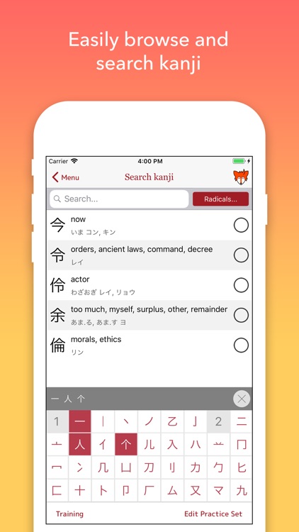 iKanji - Learn Japanese Kanji screenshot-3