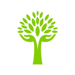 ServiceTree - Local Services