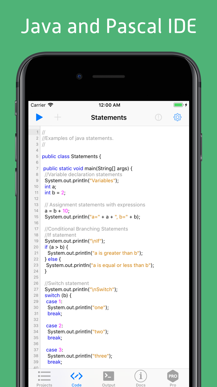 Pico Compiler Pro - Java JDK screenshot 1