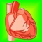 Best App on Heart Health