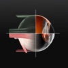 Sight Selector Lite