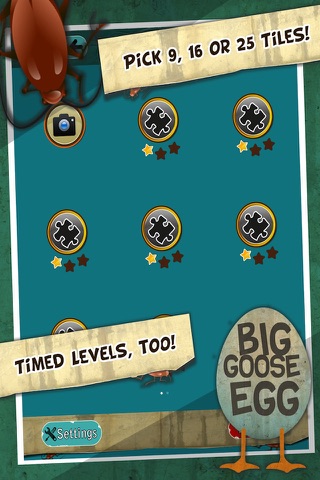 InsectiSlide Bugs Photo Tile Puzzle screenshot 4