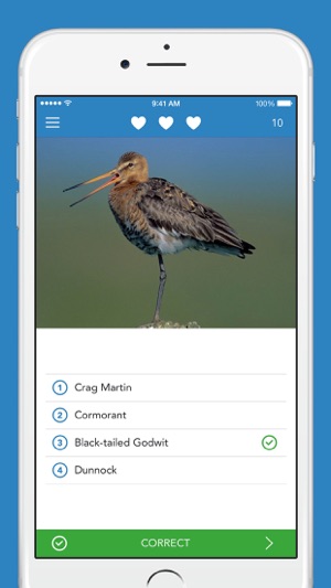 Birds PRO HD(圖4)-速報App