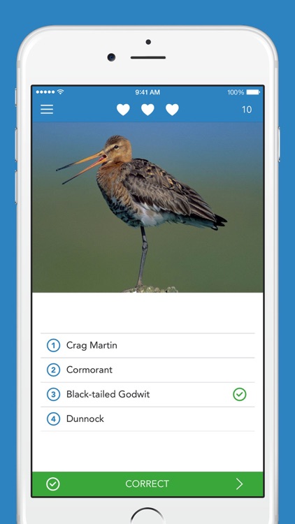 Birds PRO HD screenshot-3