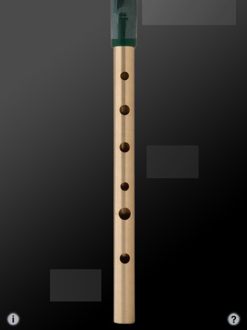 Tin Whistle - Key of High D screenshot 3