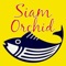 Online Ordering for Siam Orchid in Vero Beach, Florida