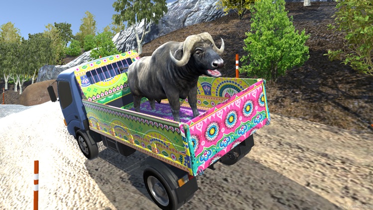 Eid Animals Transport Truck