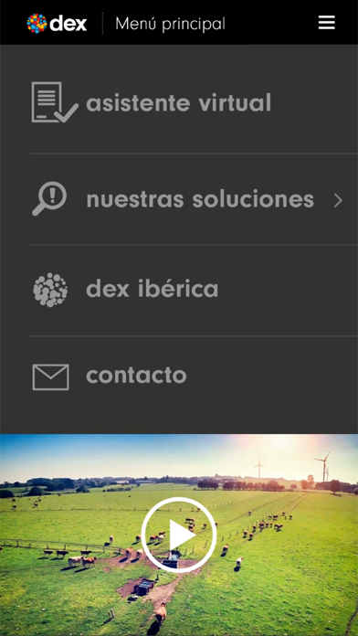 dex ibérica mobile screenshot 2