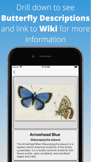 Butterfly Dictionary Pro(圖4)-速報App