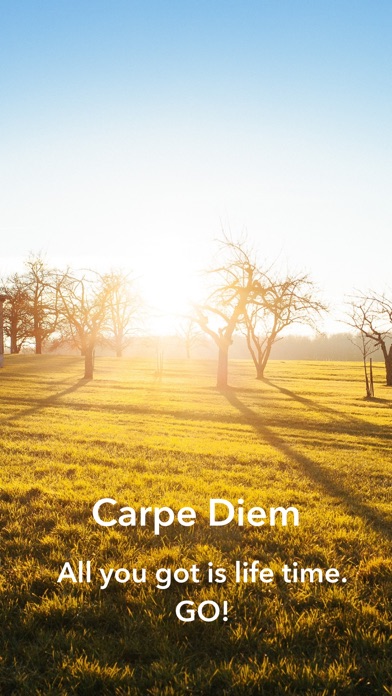 Carpe Diem - essential tasks screenshot 4
