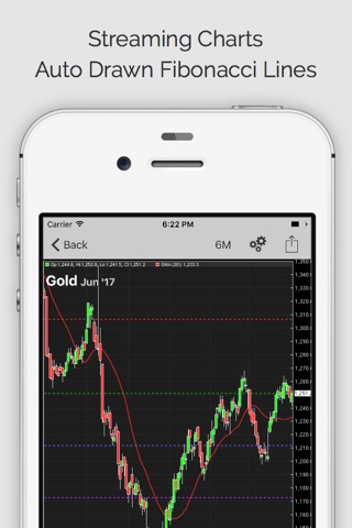Commodity Trader Pro (ms) screenshot 2