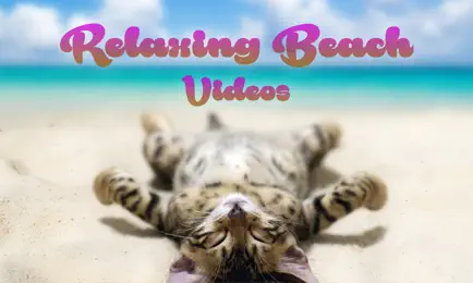 Relaxing Beach Videos — The best internet videos Cheats