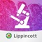 Take control of your USMLE study schedule with this easy to use tool based on the highly respected textbook, “Lippincott’s Illustrated Q&A Review of Histology”