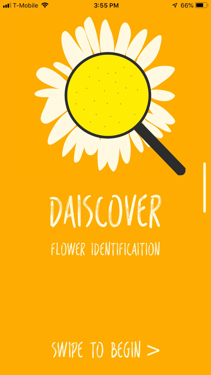 Daiscover