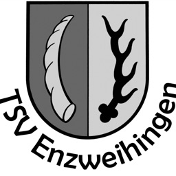TSV Enzweihingen Fußball
