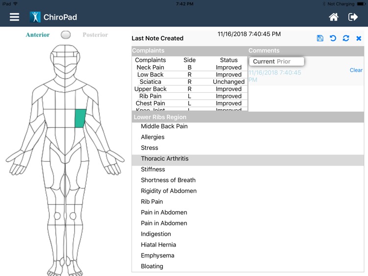 ChiroPad Lite