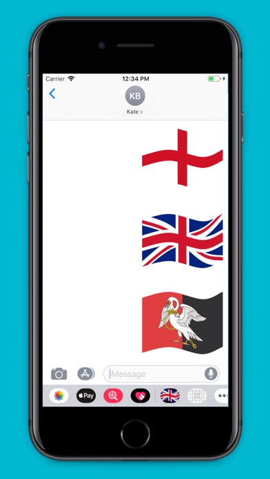 English Flags screenshot 3