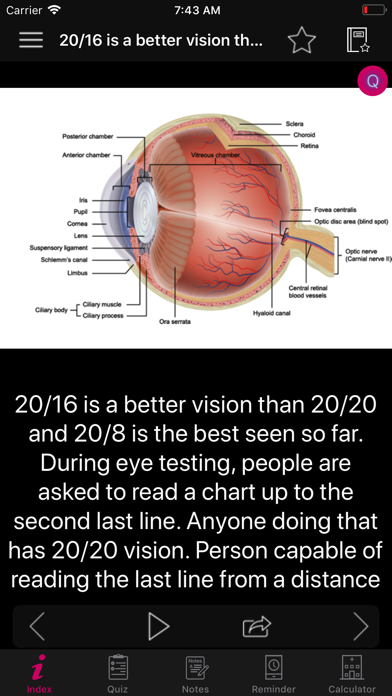Human Eye Anatomy Fact,Quiz 2k screenshot 2