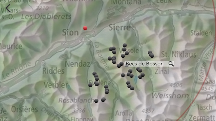 Swiss3D PRO screenshot-4