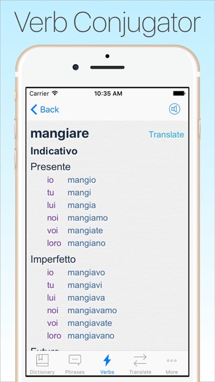 Italian Dictionary & Tran + screenshot-3