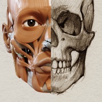 3D-Anatomie für den Künstler | v. 1.2 apk