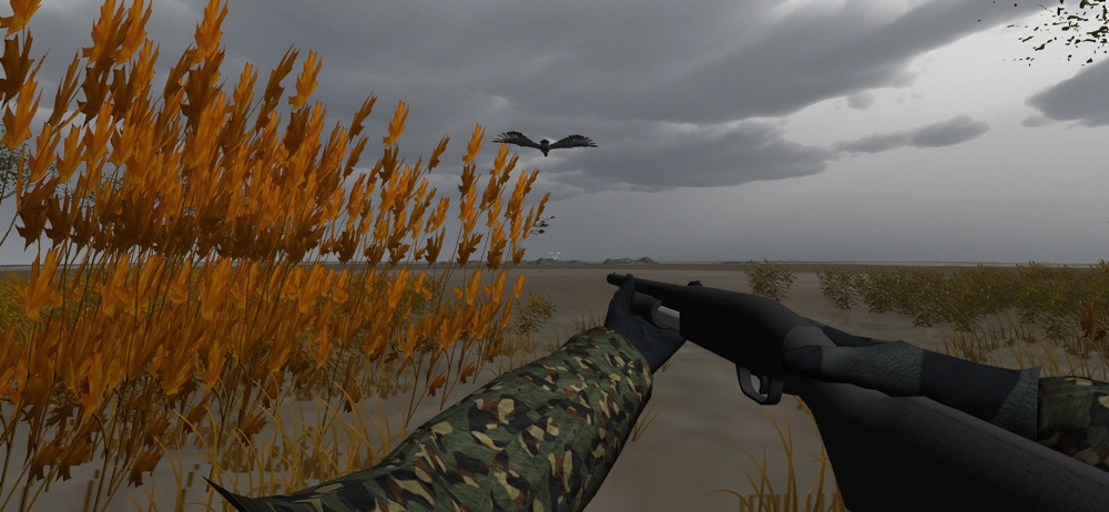 Duck Hunter Pro 3D Cheat Codes