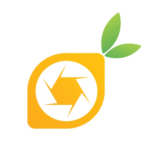 Citrus Media Icon