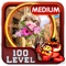 Back Lanes Hidden Object Game