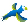 smart parrot for iPad