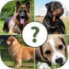 Pups Pet Trivia Pro