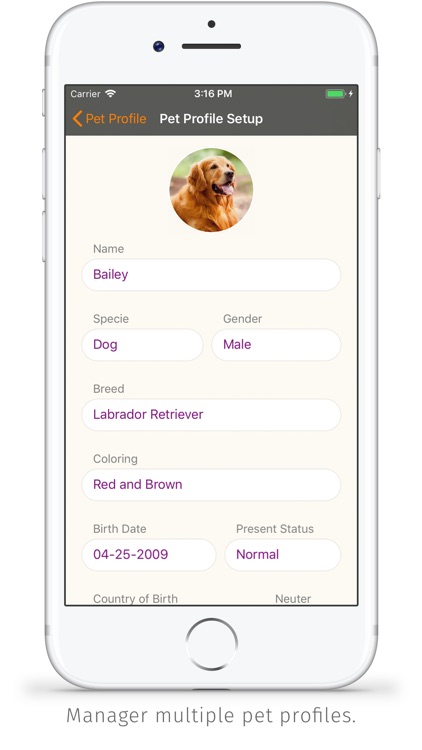 Dudepet screenshot-3