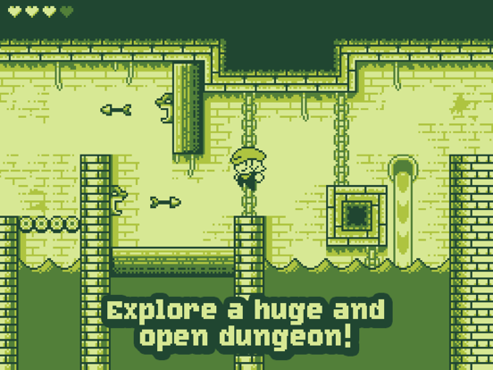 Tiny Dangerous Dungeons для iPad