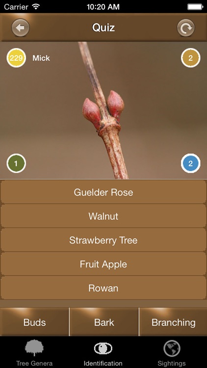 Winter Tree Id - British Isles screenshot-3