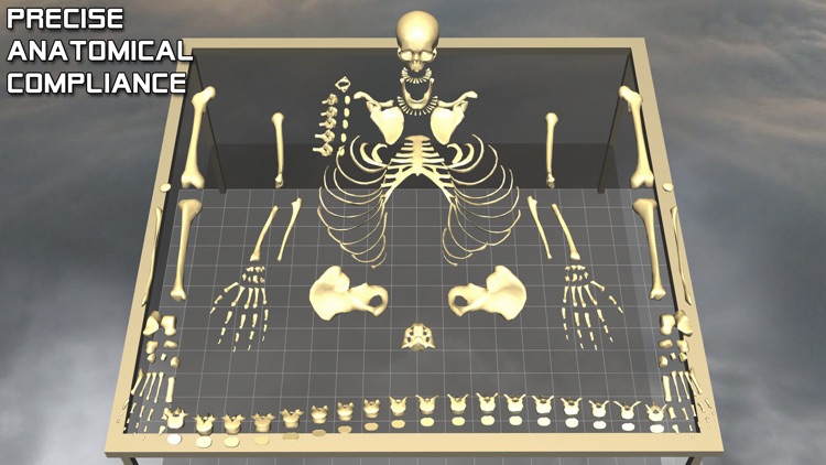 Body Disassembly 3D screenshot-3