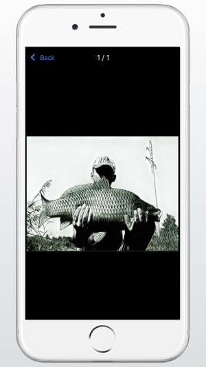 Carp Fishing Diary(圖8)-速報App