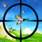 Check our new game for Duck Hunting Season Free available on Appstore