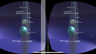 Mitochon VR II screenshot 4