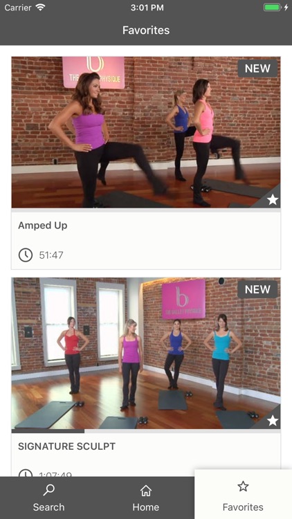 Ballet Physique screenshot-4