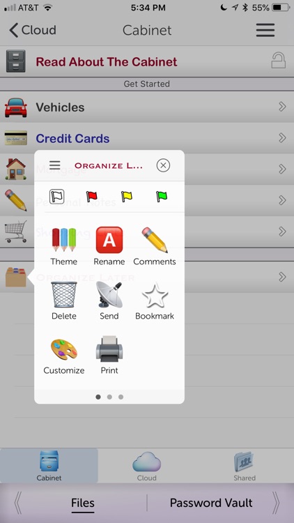 iStratus® DayPlanner screenshot-4