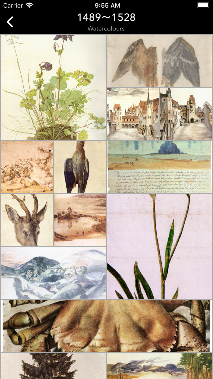 Albrecht Dürers Art