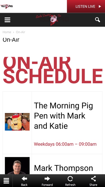 95.7 the Big Pig (WPIG FM)