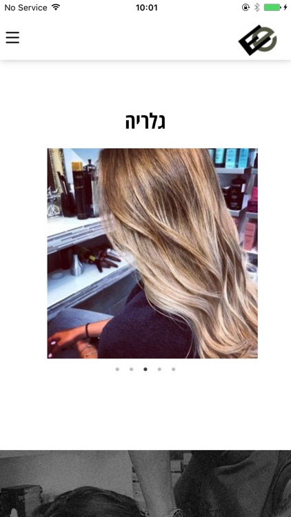 ארז אלבז- עיצוב שיער screenshot-3