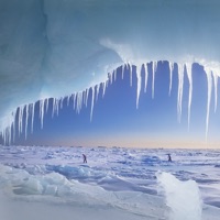 Best Winter Season Stickers