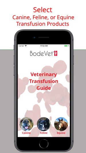 Veterinary Transfusion Guide