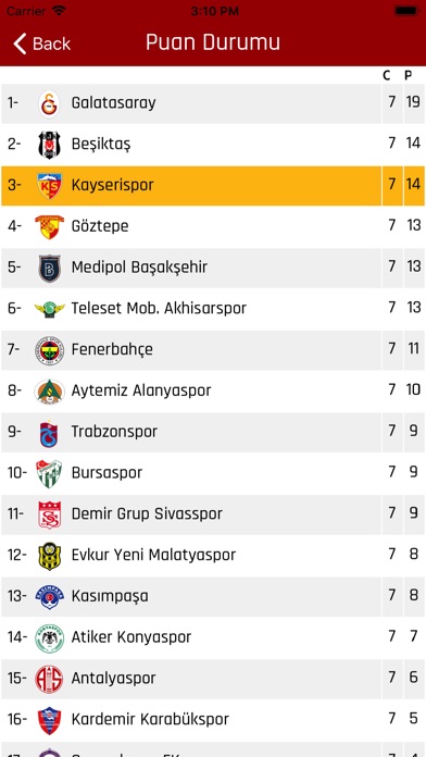 Kayserispor screenshot 3