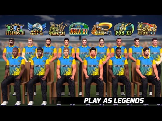 iPad Image of World Cricket Battle