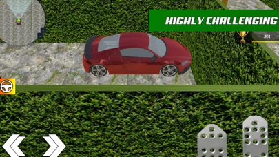 Maze Parking: Driving Skill screenshot 2