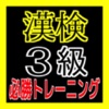 【必勝トレーニング】漢検３級に挑戦！